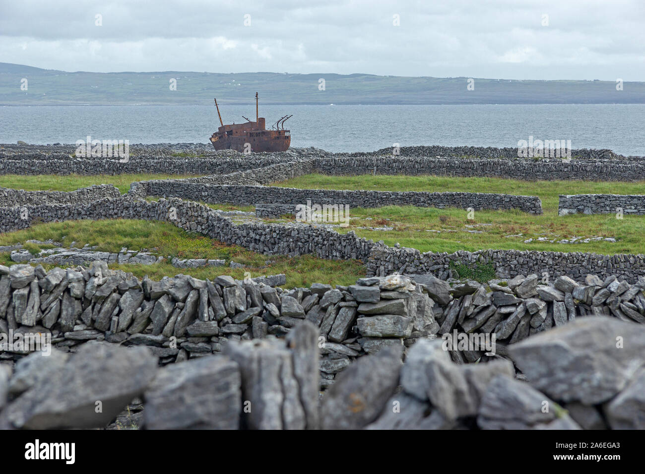 Una nave relitto che giace tra i muri in pietra, Inishere Isola, Isole Aran, County Clare, Repubblica di Irlanda. Foto Stock