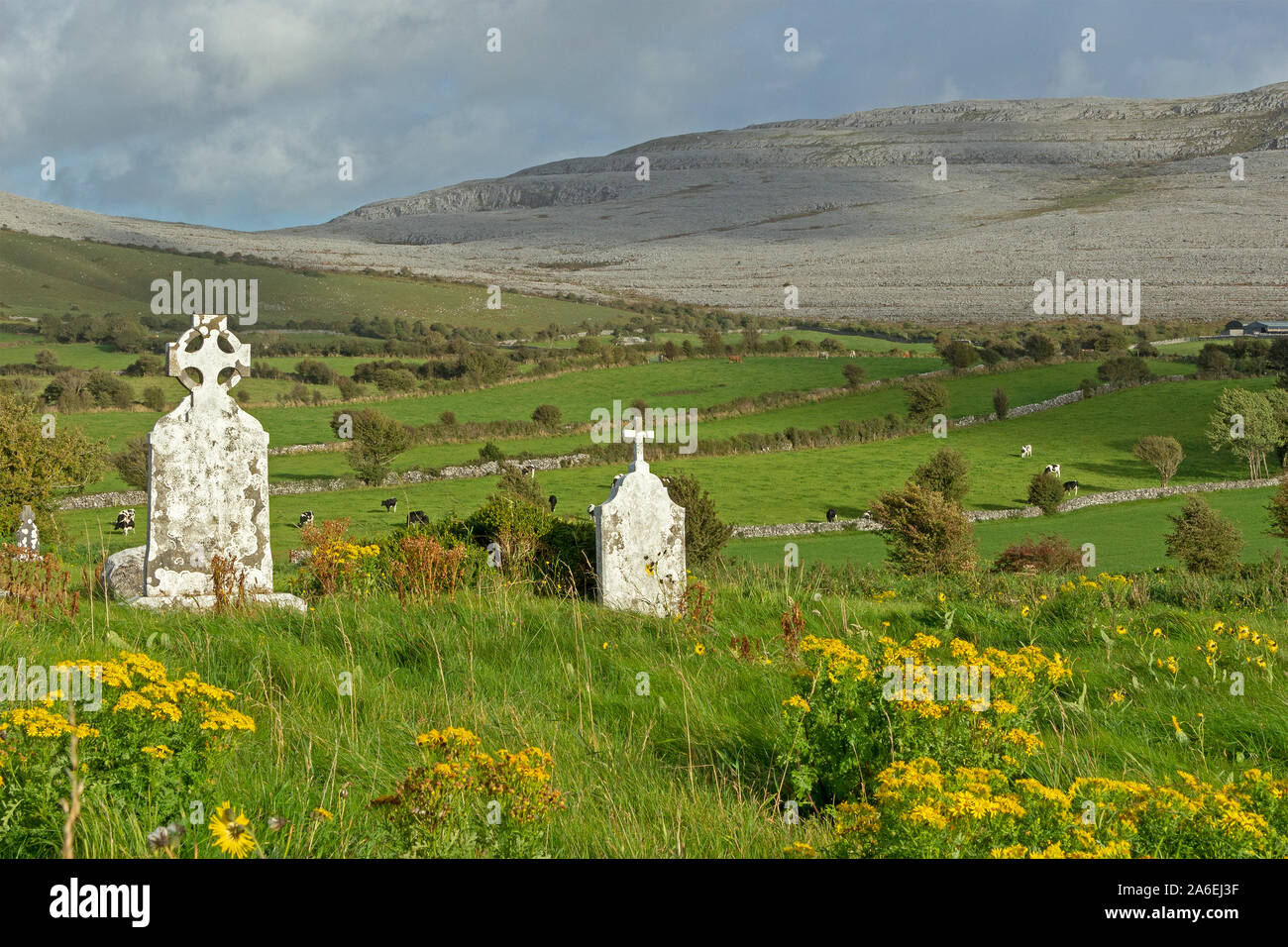 Una vista panoramica del Burren vicino a Ballyvaughan nella contea di Clare, Repubblica di Irlanda. Foto Stock