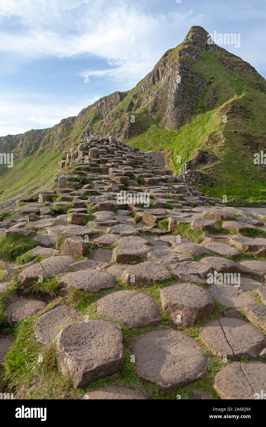 Rocce basaltiche che al Giants Causeway nella contea di Antrim in Irlanda del Nord. Foto Stock