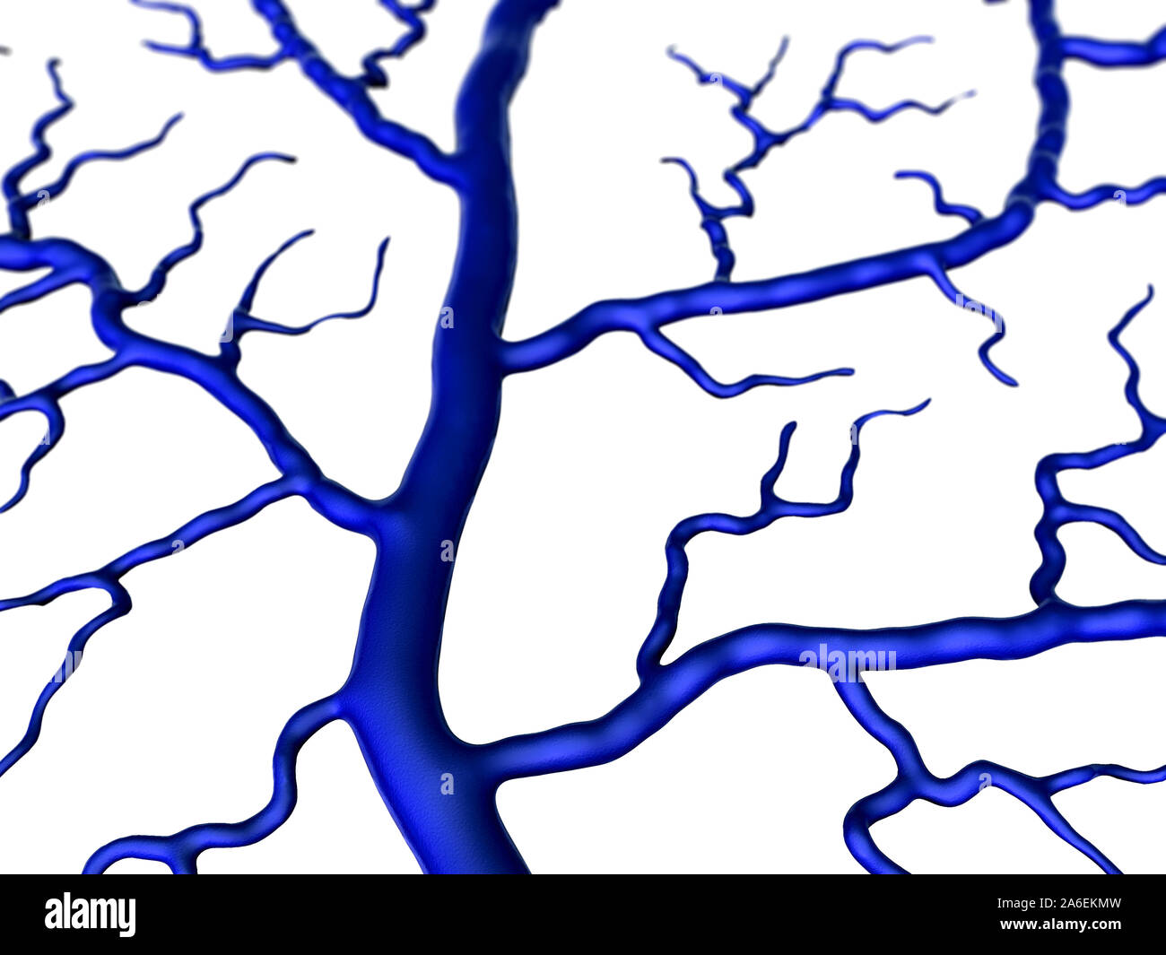 3D illustrazione di capillari e cellule, vena e capillare Foto Stock