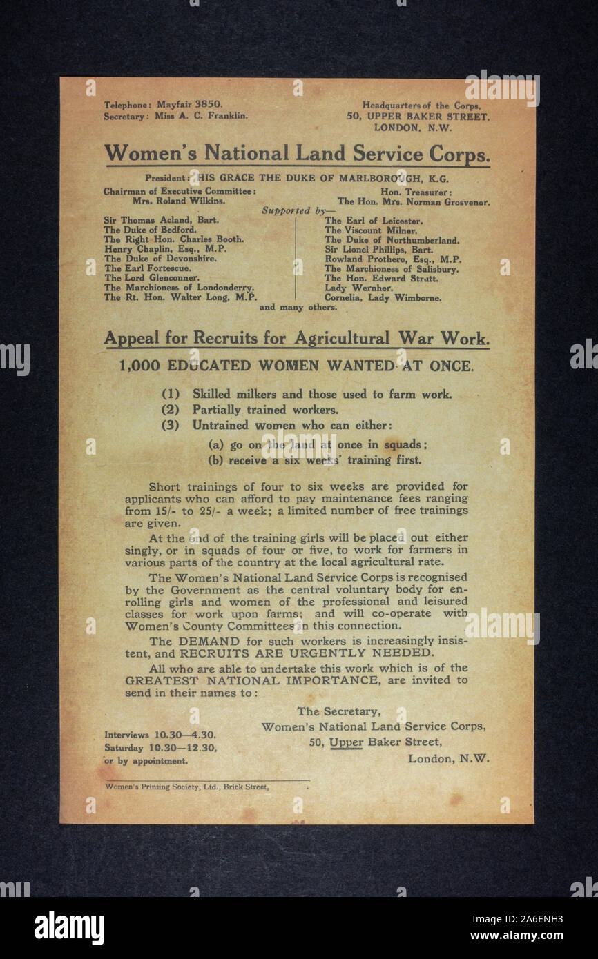 Women's National Land Service Corps. Appello per reclute, un pezzo di replica cimeli dalla prima guerra mondiale. Foto Stock