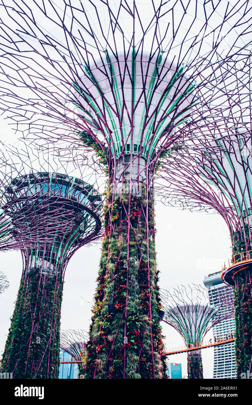 SINGAPORE, Singapore - Marzo 2019: Supertree Grove & OCBC Skyway al giardino dalla baia Foto Stock