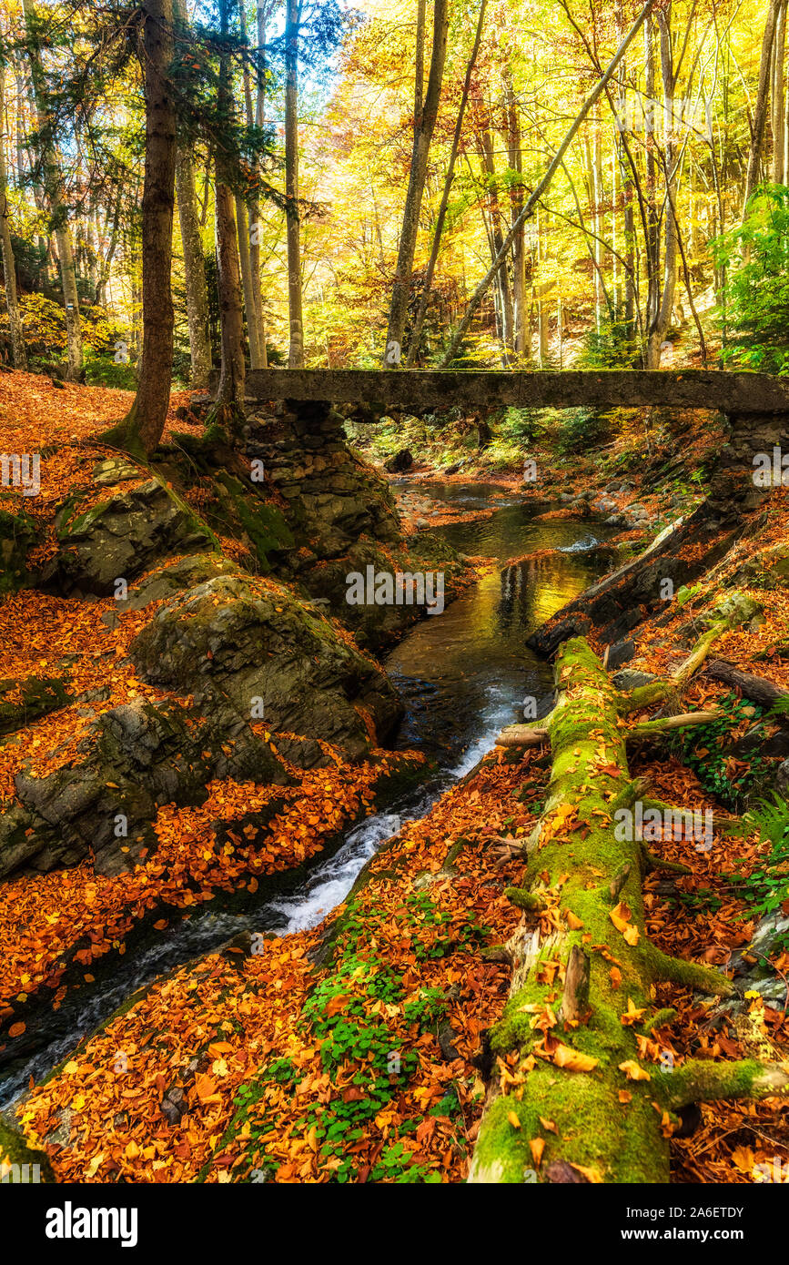 Attraente paesaggio autunnale, cascata al piccolo fiume nella foresta sotto il ponte, Foto Stock