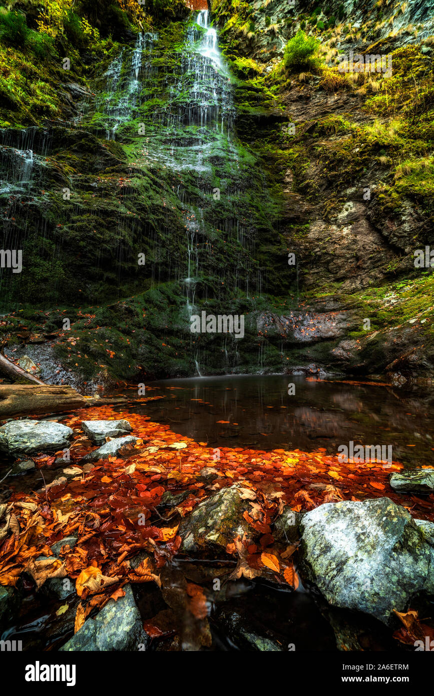 Scenario autunnale di un mulinello di foglie di autunno nel fiume con una piccola cascata in background. Central Balkan parco nazionale in Bulgaria Foto Stock