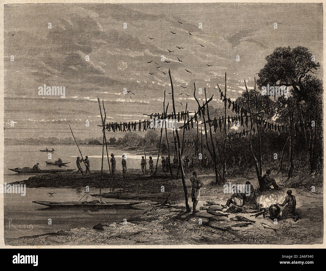 Feyturia sur le lac Cudajaz, ( regioni des Lacs du Fleuve Japura, affluent de l'Amazone, en Colombie), sechage et salage du Poisson. Il rotocalco pour illu Foto Stock