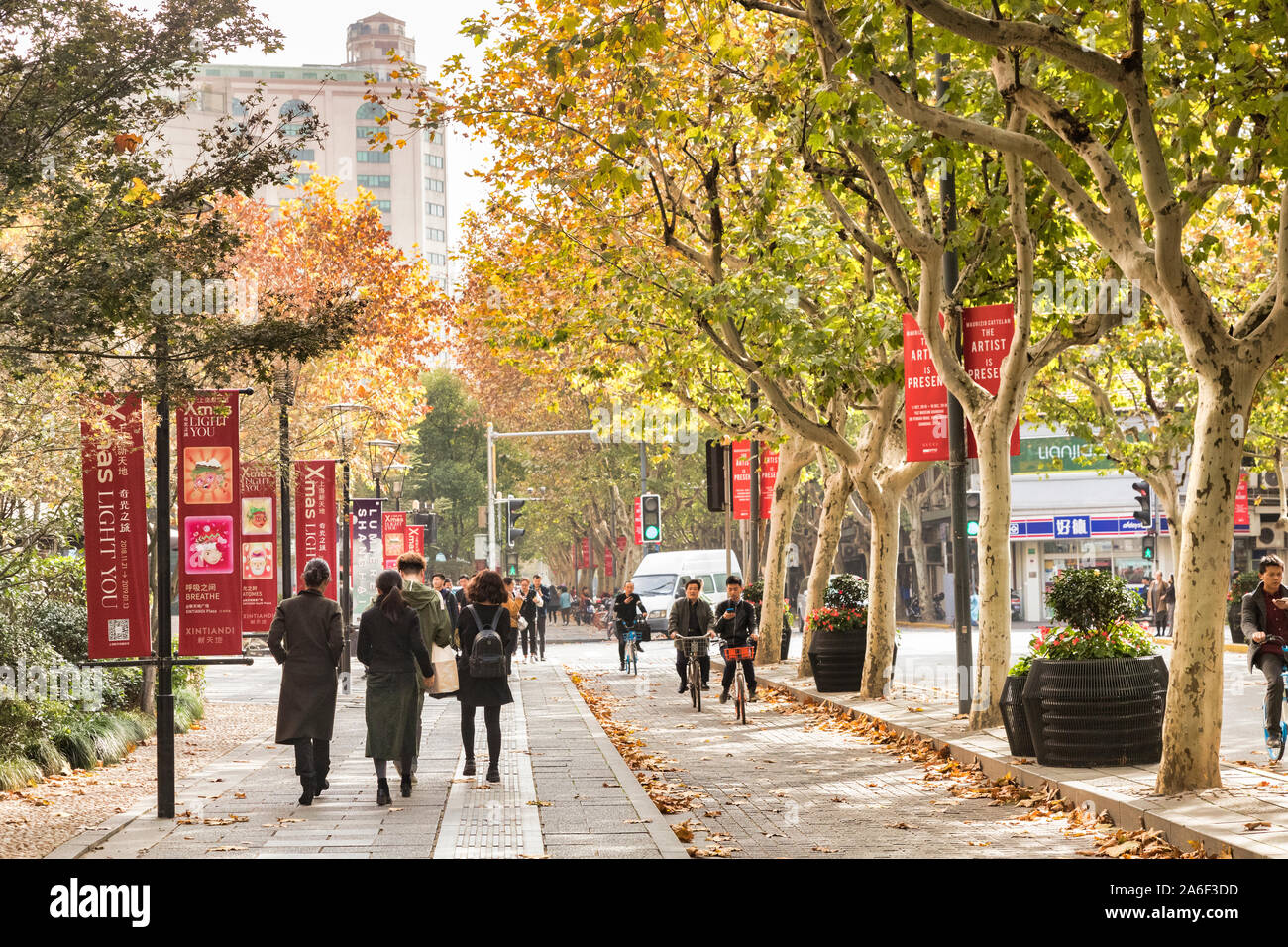 30 Novembre 2018: Shanghai in Cina - i turisti e i ciclisti sotto i platani con fogliame di autunno, nel quartiere di Xintiandi, la vecchia concessione francese, Foto Stock