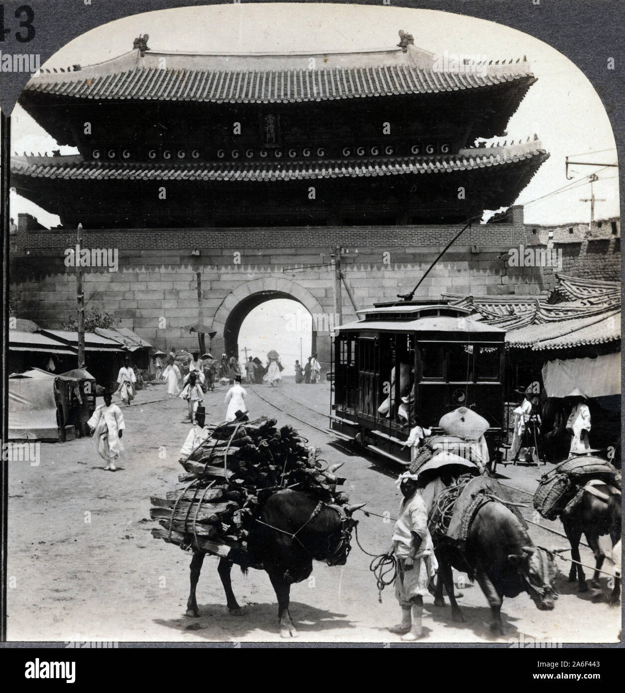 Nazioni Unite boeuf portant onu chargement de bois, a cote de la ligne de tram, devant Namdaemun, une porte monumentale de Seoul, Coree. Photographie, 1904. Foto Stock