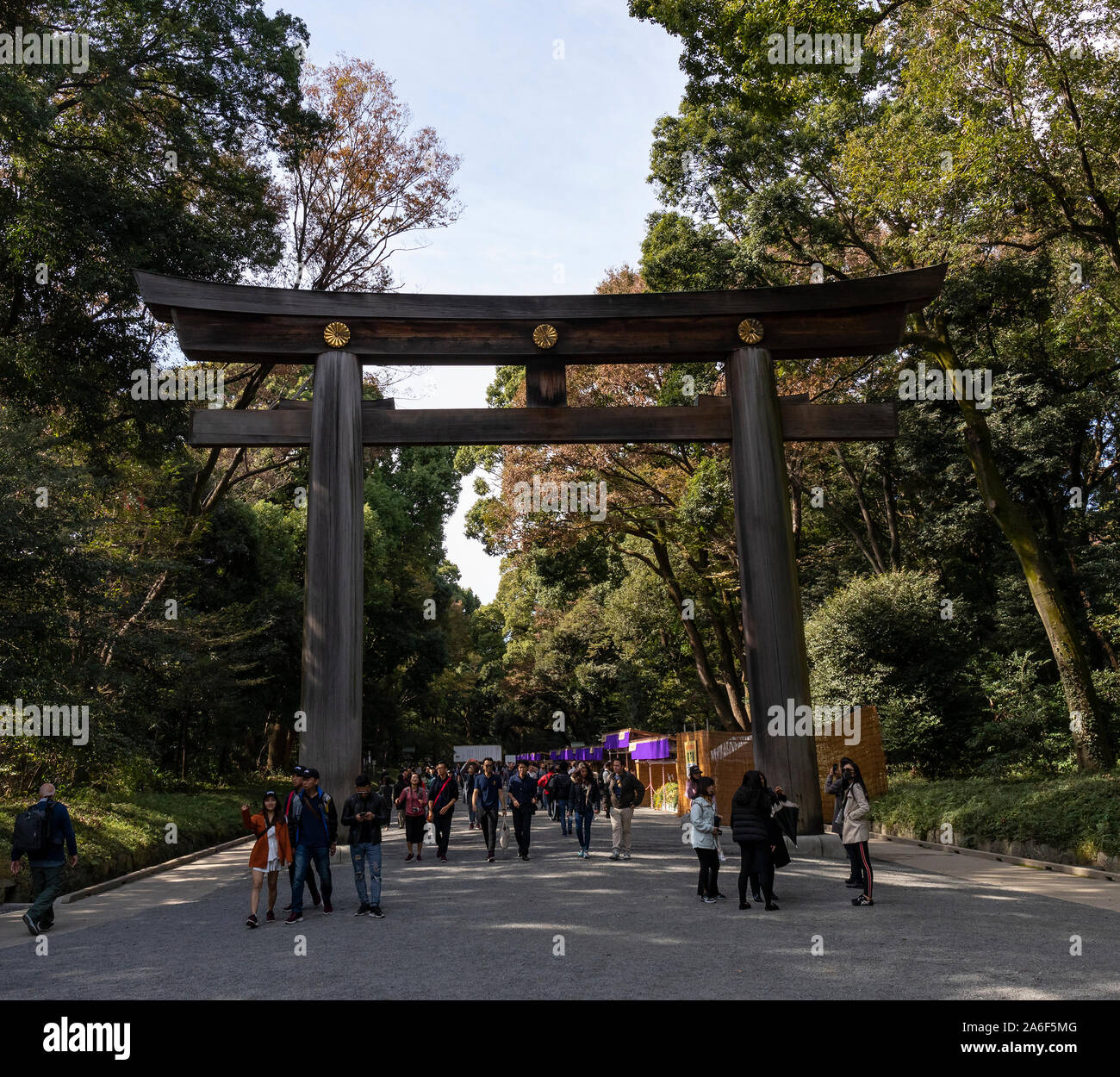 Tokyo, Giappone - 31 Ottobre 2018: turisti sul percorso di ingresso al Tempio di Meiji in Tokyo, Giappone Foto Stock