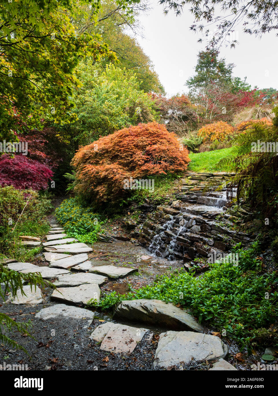 Pietre miliari piombo passato una piccola cascata nel Acer glade al Garden House, Buckland Monachorum, Devon, Regno Unito Foto Stock