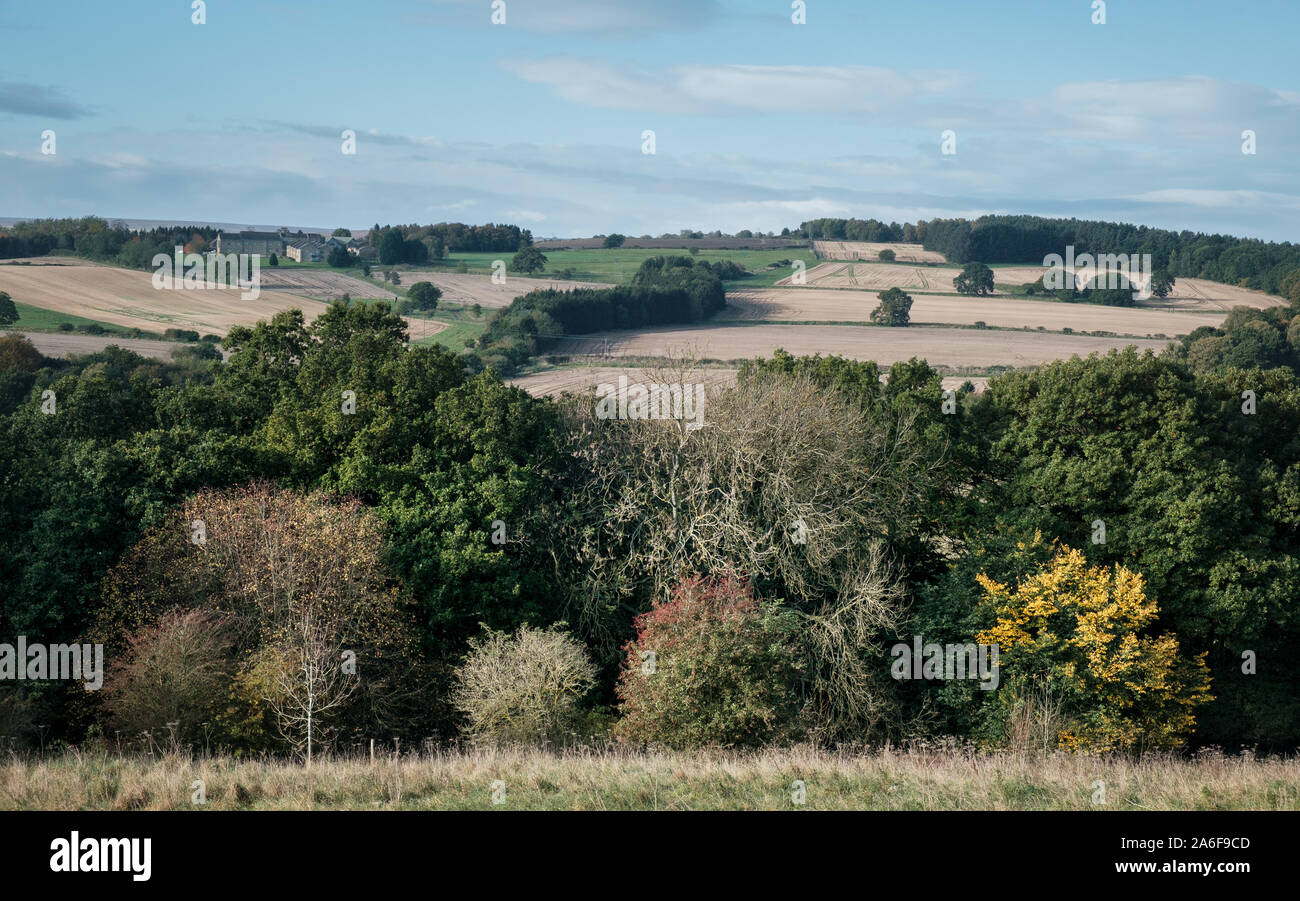 Campagna inglese bosco di latifoglie con terreni coltivati al di là del confine rurale della contea di Durham e il Northumberland a nord di Consett Shotley Bridge Foto Stock