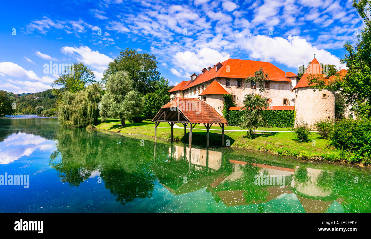Bei castelli medievali di Slovenia - Grad Otocec oltre il fiume Krka Foto Stock