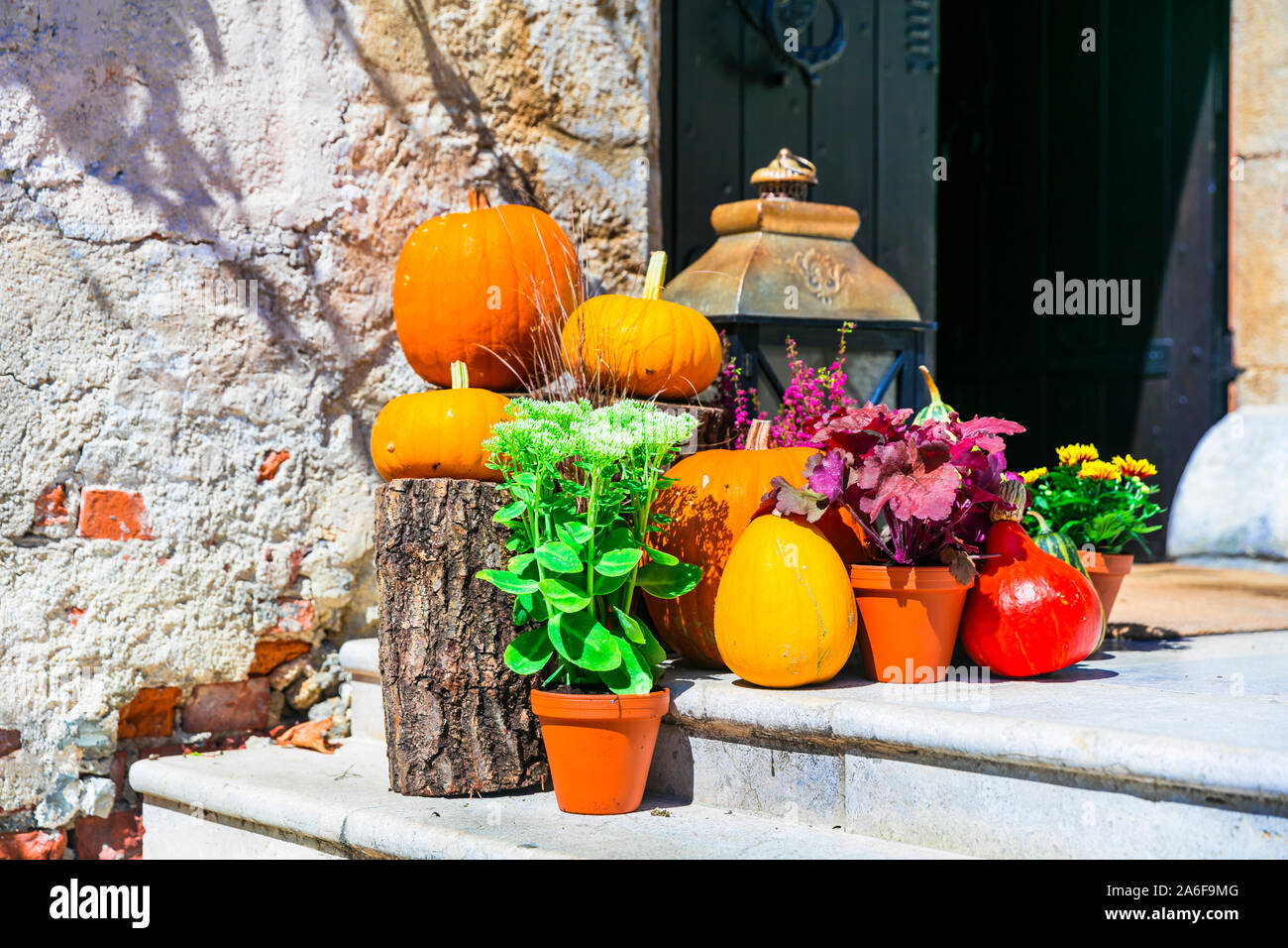 Autunno ancora in vita e decorazione di strada con zucche Foto Stock