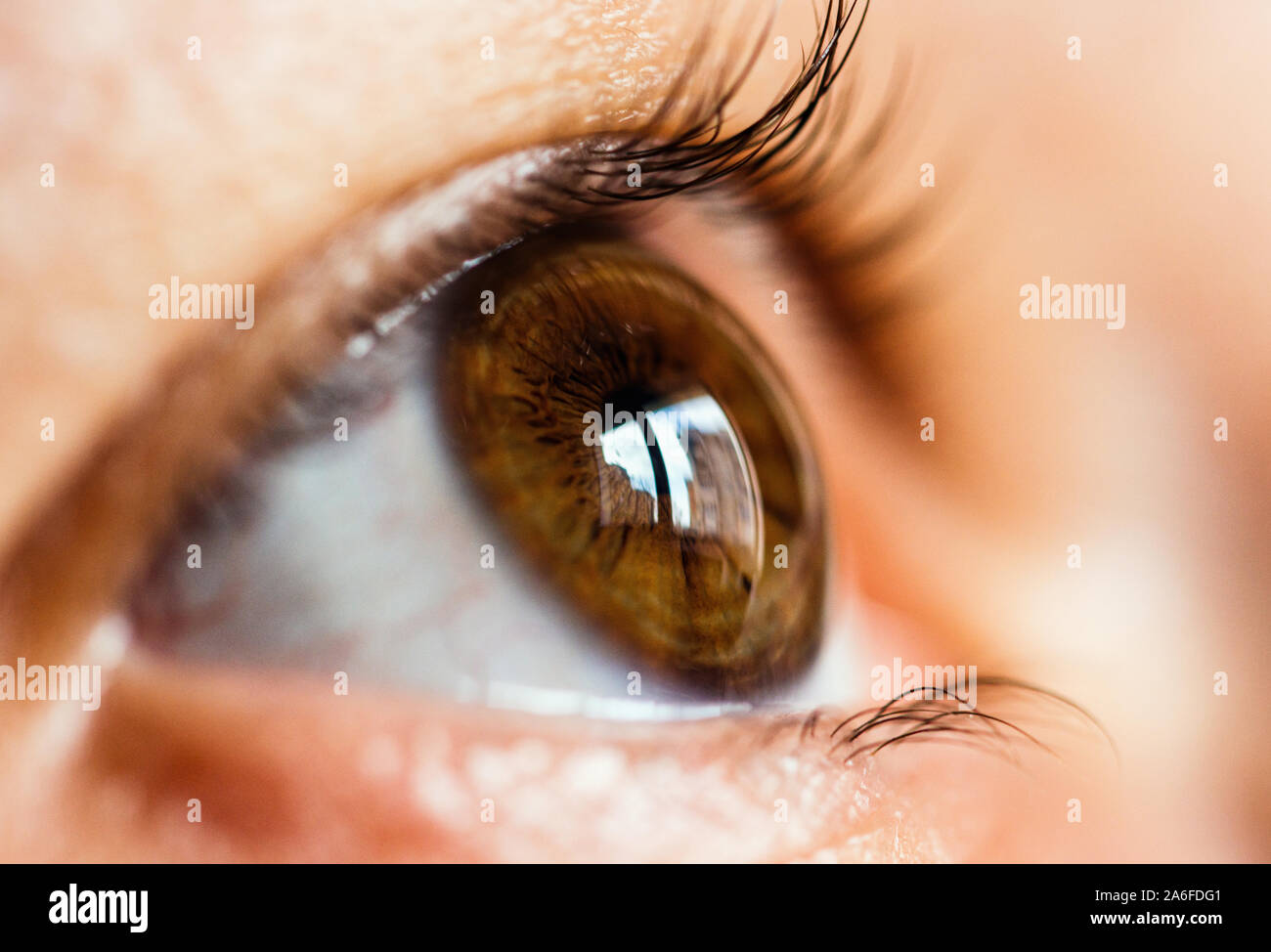 Ravvicinata di un occhio umano guardare avanti Foto Stock