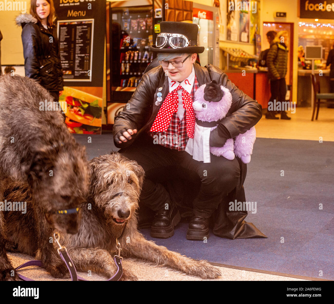Giovane donna con il giocattolo morbido e indossando il tradizionale costume di Goth giocando con enorme Irish Wolfhound, Whitby Goth Festival Weekend, Whitby, North Yorkshire, Regno Unito, 26 Ottobre 2019 Foto Stock