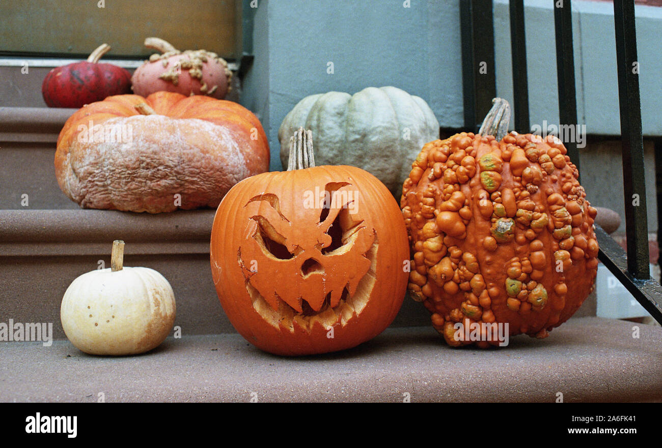 Brooklyn Heights Jackolantern Foto Stock