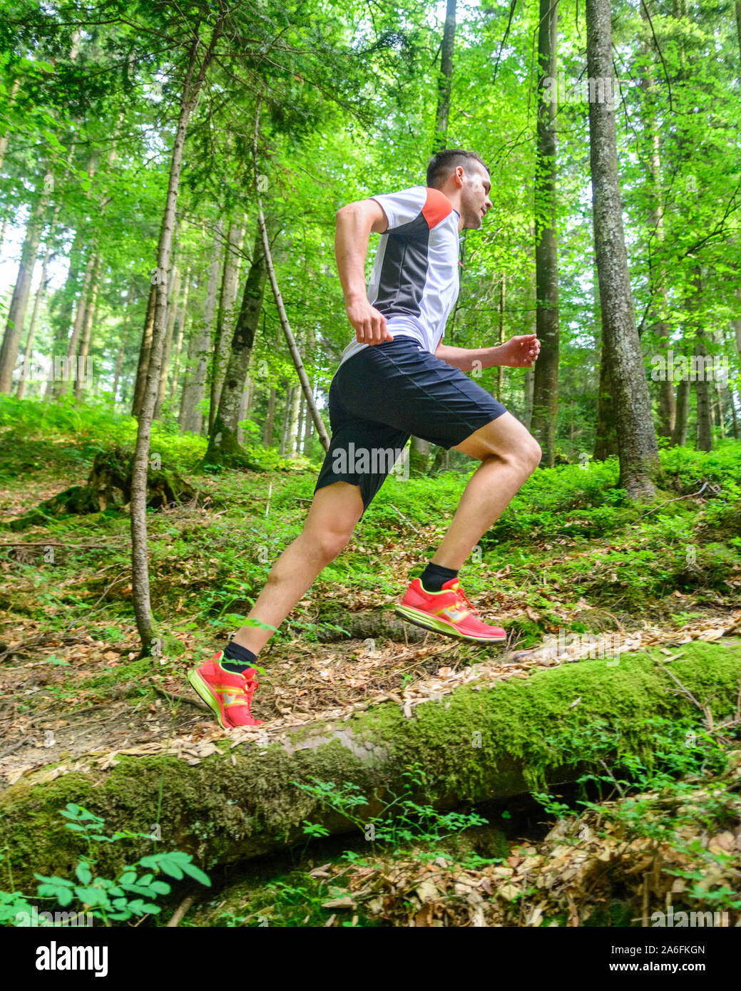 Giovane jogging nella foresta - faticoso allenamento in estate Foto Stock