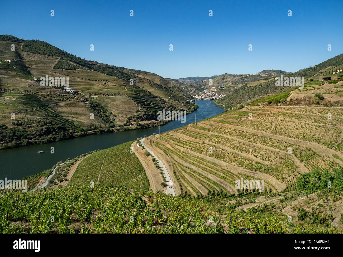 Terrazze di vigneti per il vino di porto la linea di produzione delle colline della valle del Douro vicino a Pinhao in Portogallo Foto Stock