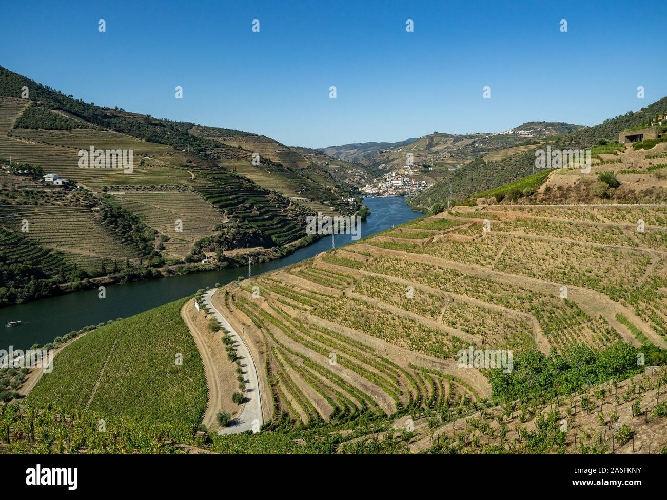 Terrazze di vigneti per il vino di porto la linea di produzione delle colline della valle del Douro vicino a Pinhao in Portogallo Foto Stock