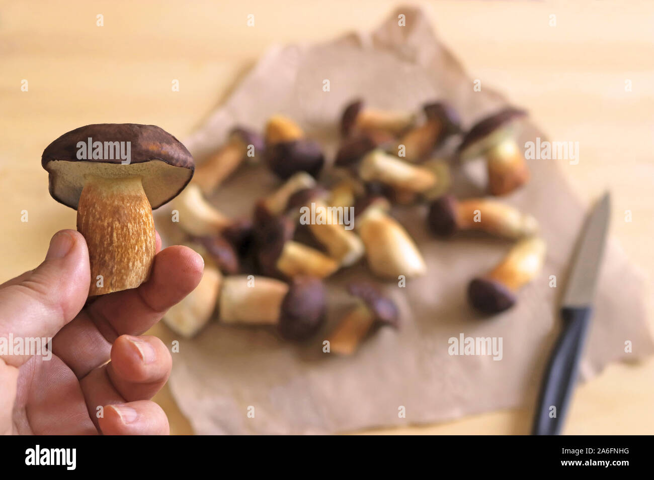 Mano che tiene un fungo dalla foresta di fronte più funghi su una tavola di legno in attesa di essere tagliato Foto Stock