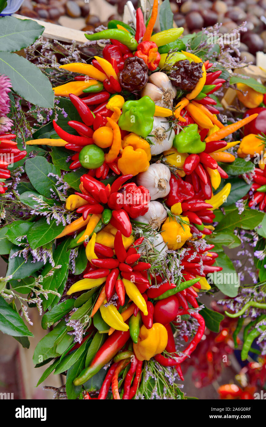 Colorate, visualizzazione decorativa di peperoncino fresco peperoni, aglio ed erbe aromatiche su una stringa nel mercato croato Foto Stock