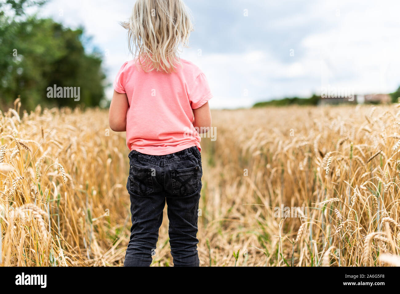 Un incantevole piccola ragazza bionda a piedi attraverso un cornfield, campo di grano nella bella campagna Foto Stock