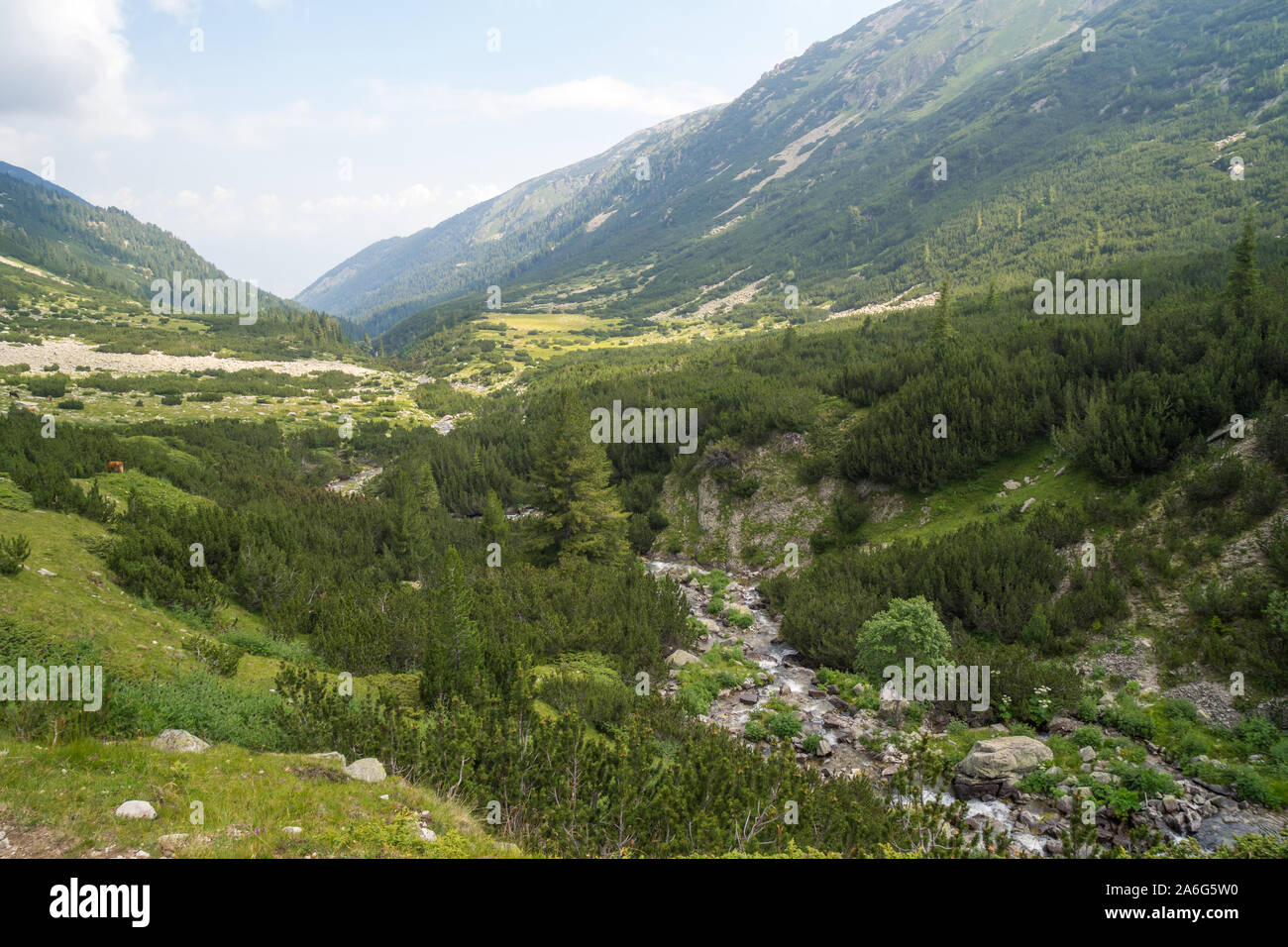 Splendida vista verso la montagna nebbioso picchi, montagna Pirin Foto Stock