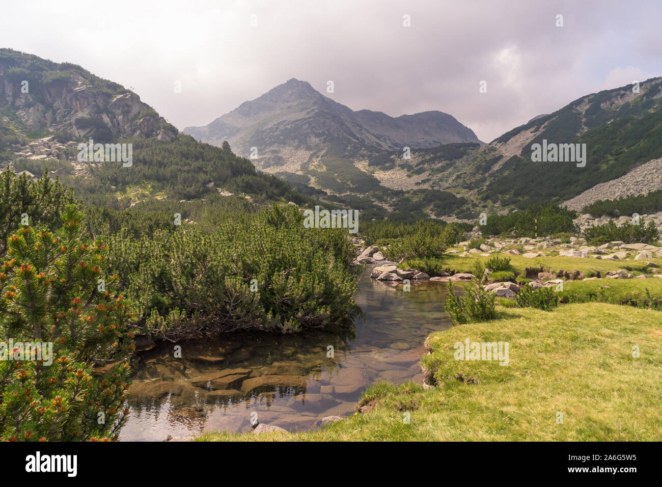 Splendida vista verso la montagna nebbioso picchi, montagna Pirin Foto Stock