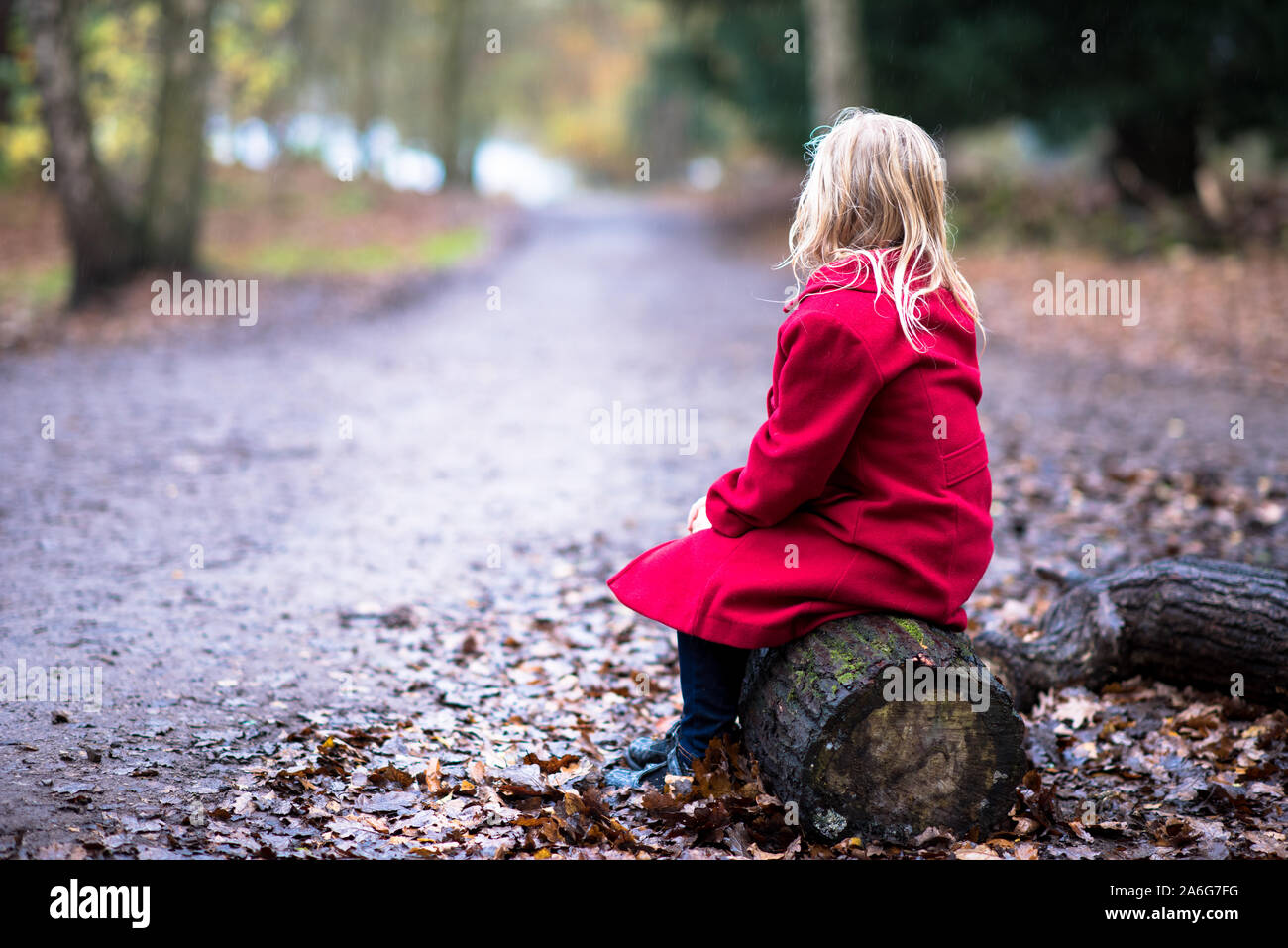 Una bella ragazza in un cappotto rosso circondato da foglie di autunno seduta, passeggiate nella foresta e zona boschiva a Trentham Gardens, Stoke on Trent Foto Stock