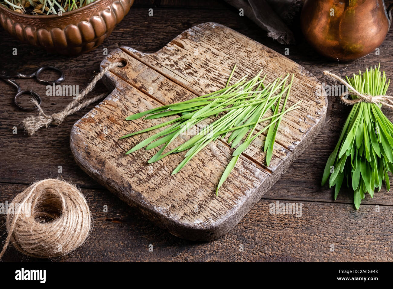 Fresca di orzo coltivato erba su un tagliere di legno Foto Stock