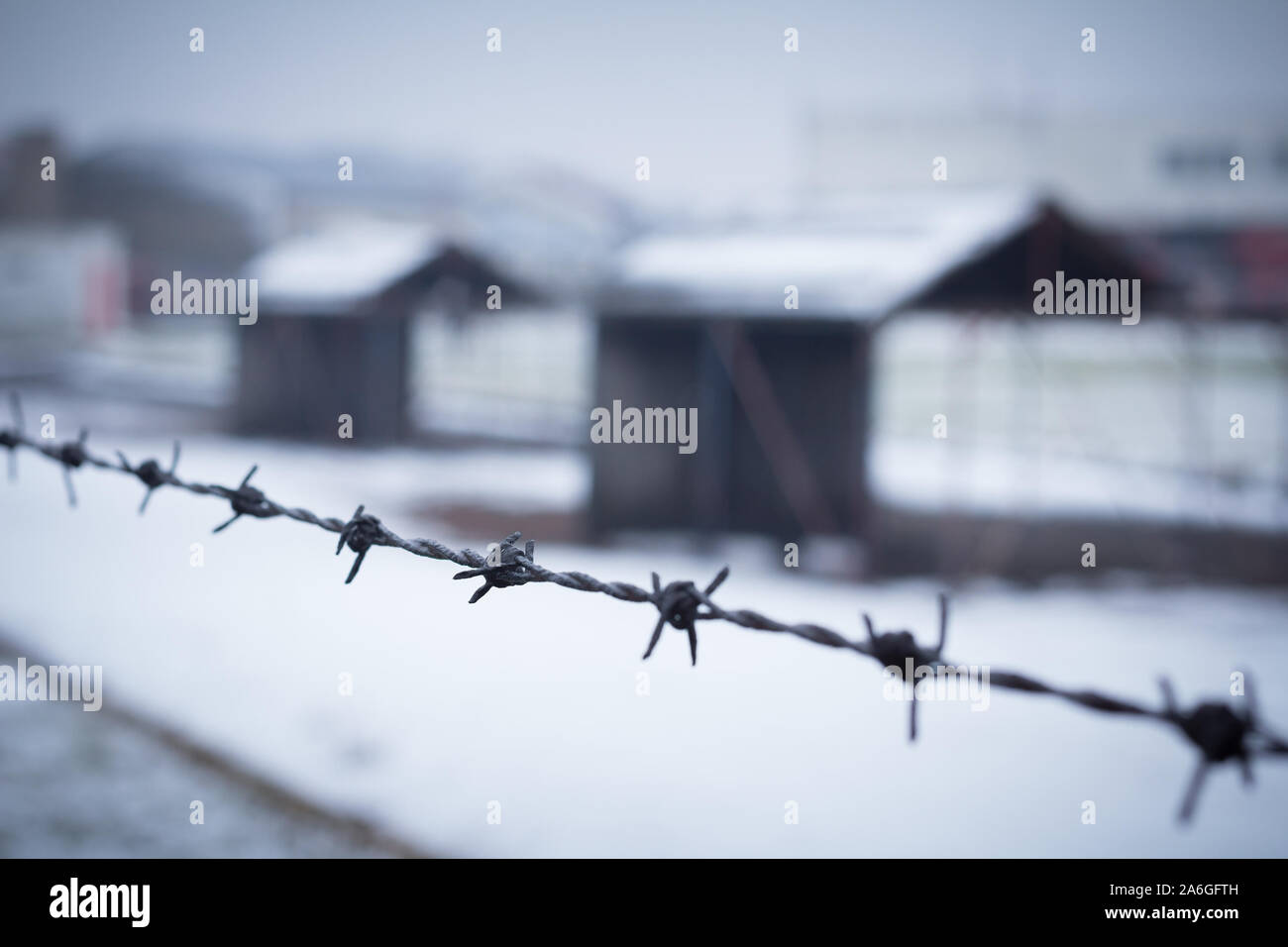 filo spinato closeup con campo di detenzione in background Foto Stock