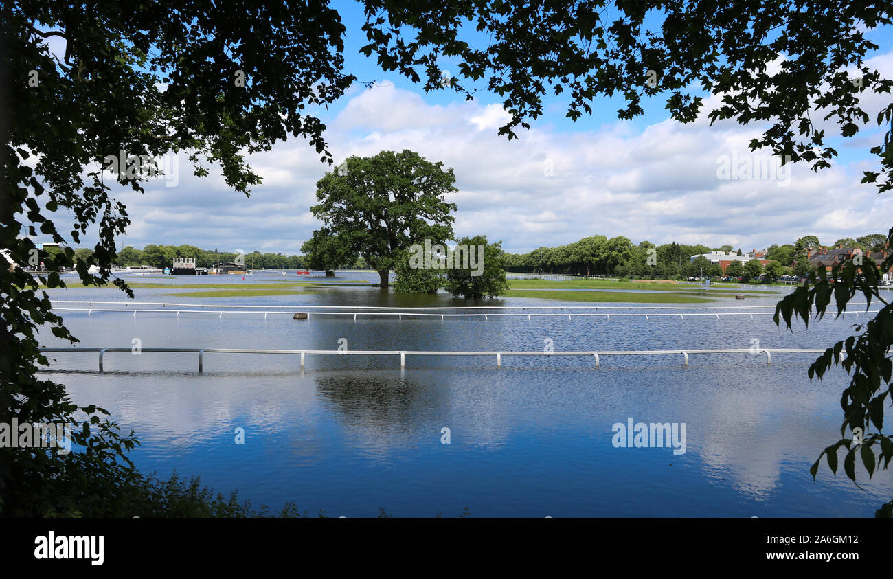 Cambiamento climatico, Worcester, corsa, Inghilterra, Regno Unito, 13/02/2014 . Il fiume Severn, allagato, ha scoppiato le sue rive e la tempesta fogna sostenuto Foto Stock