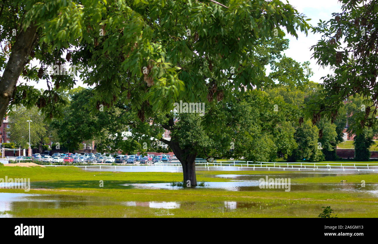 Cambiamenti climatici, Worcester Race Course, Inghilterra, Regno Unito, 13/02/2014 . Il fiume Severn, allagato, ha scoppiato le sue rive e la tempesta fogna sostenuto Foto Stock