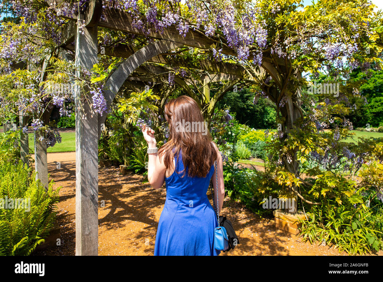 Una bella ragazza in posa per una foto in un bellissimo vestito blu su di una splendida giornata d'estate Foto Stock