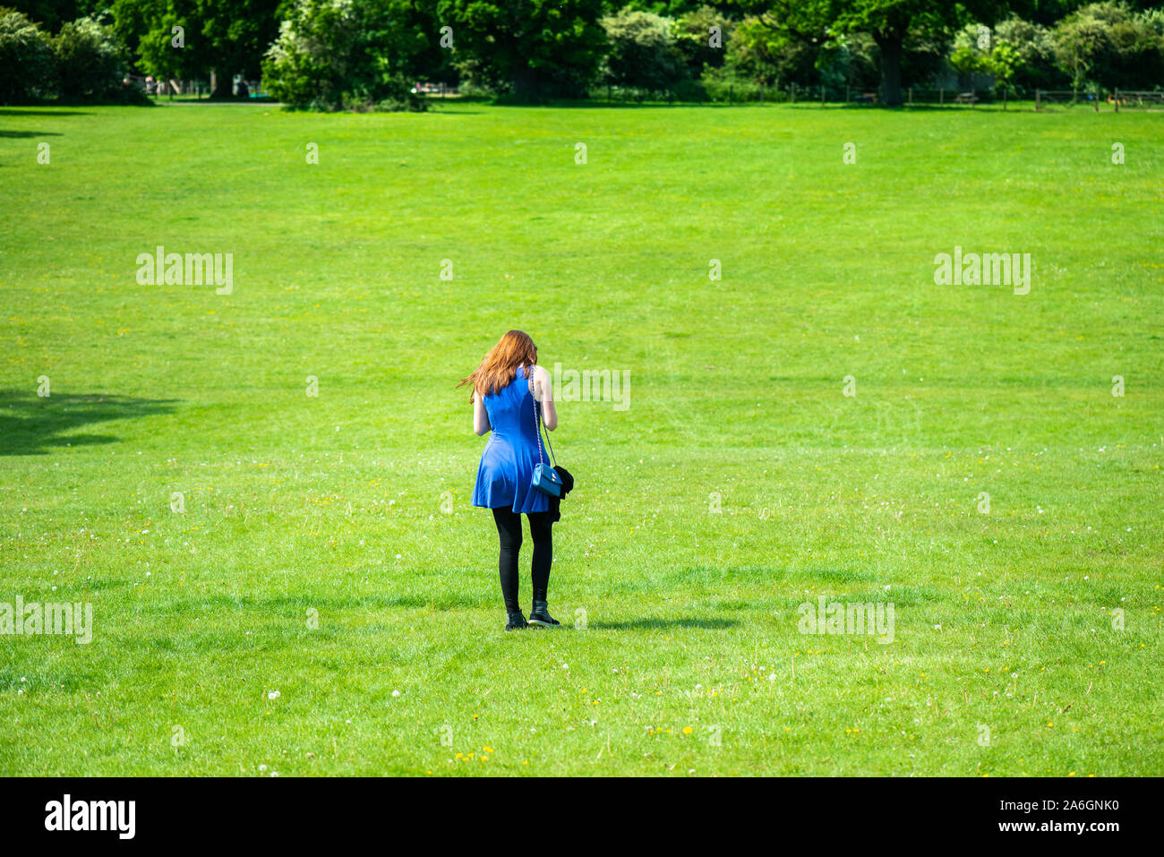 Una bella ragazza camminare in un bellissimo vestito blu su di una splendida giornata d'estate a Hylands Park a Chelmsford Essex Foto Stock