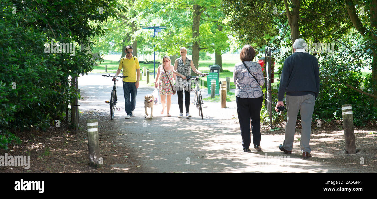 Le persone godono di alcune passeggiate, escursioni in bicicletta a Hylands House Chelmsford Essex REGNO UNITO, popolare con il cane scuotipaglia Foto Stock