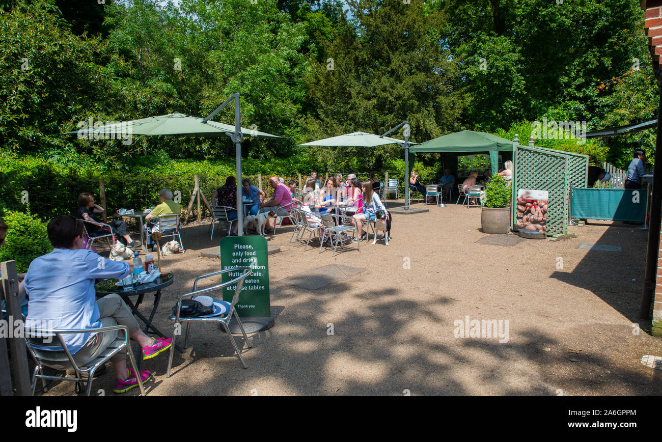 Le persone godono di cibo e bevande al fresco, fuori a Hylands Park a Chelmsford in una bella giornata di sole Foto Stock