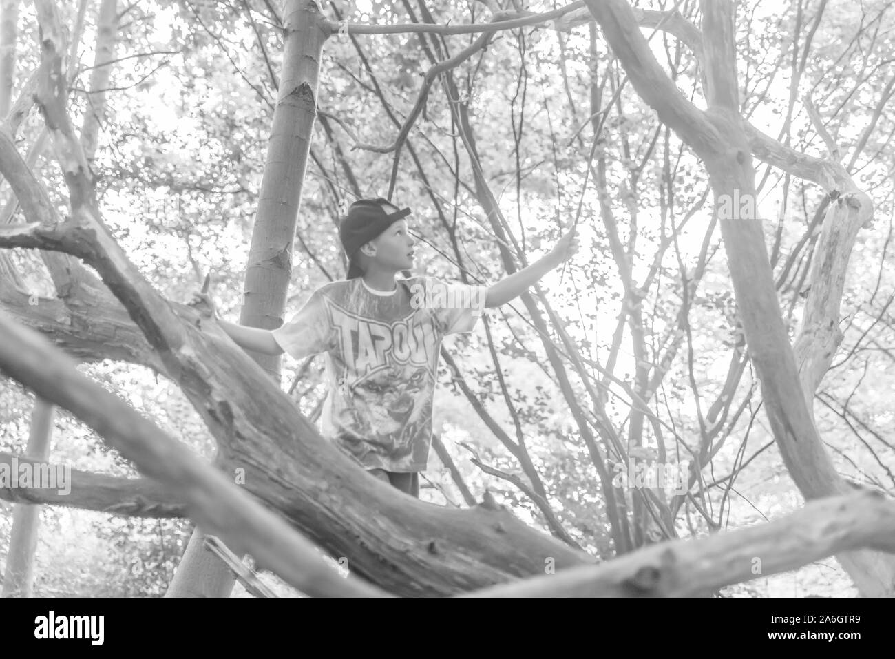 Un cheeky poco ragazzo seduto in un cornfield indossando un cappello da baseball, mentre fuori a giocare con gli amici Foto Stock