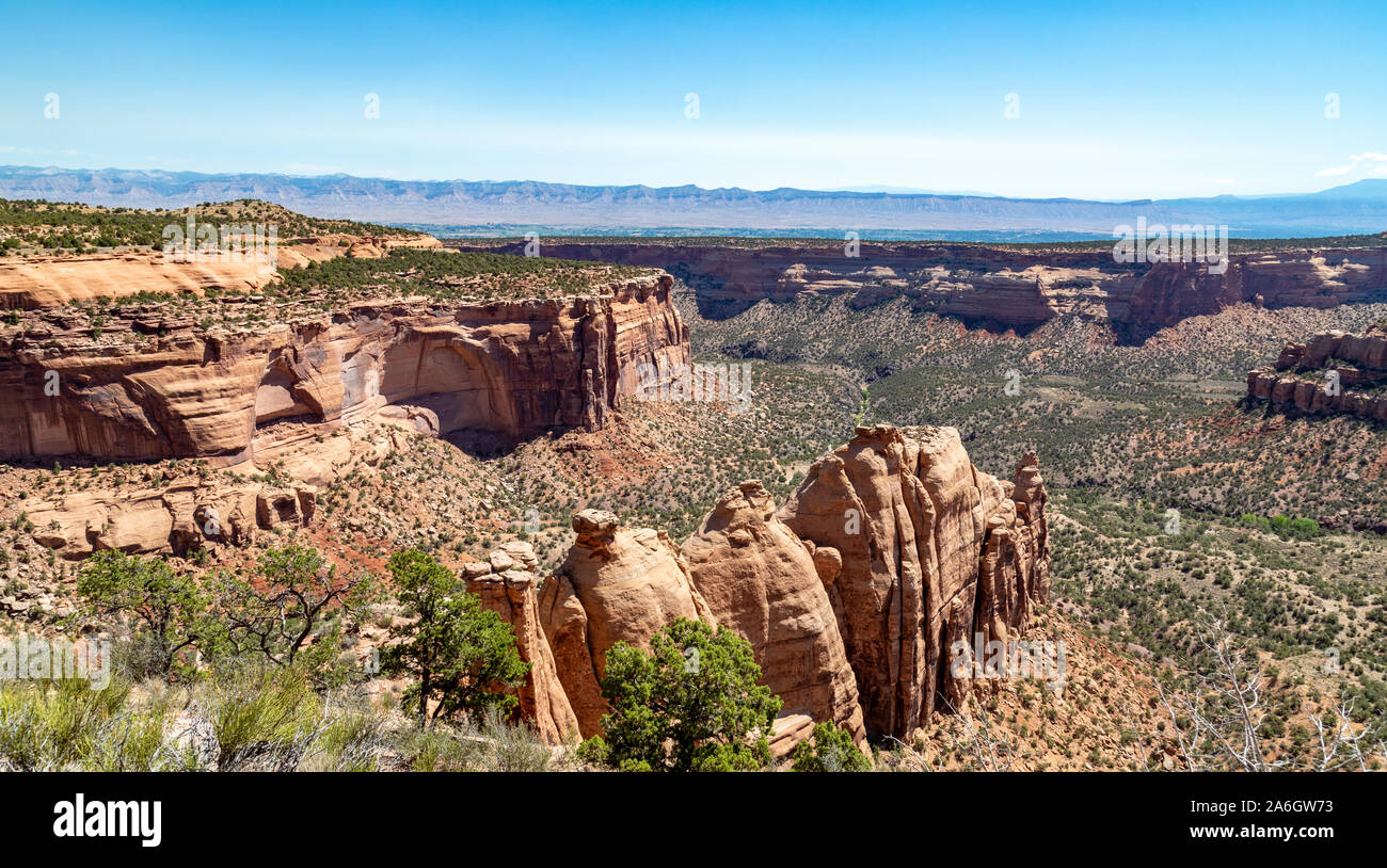 Fruita Canyon è un ripido canalone foderato con torreggianti Wingate muri in pietra arenaria. Rim Drive Rock serpenti fino al canyon di seguito prima di salire su suo lato ovest. Foto Stock