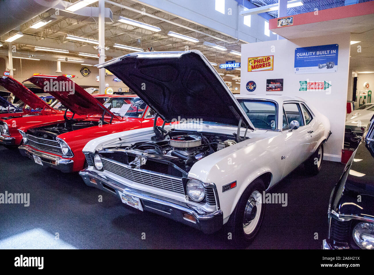 Punta Gorda, Florida, Stati Uniti d'America - 13 Ottobre 2019: Bianco 1969 Chevrolet Nova visualizzati al muscolo auto del museo della città. Uso editoriale Foto Stock