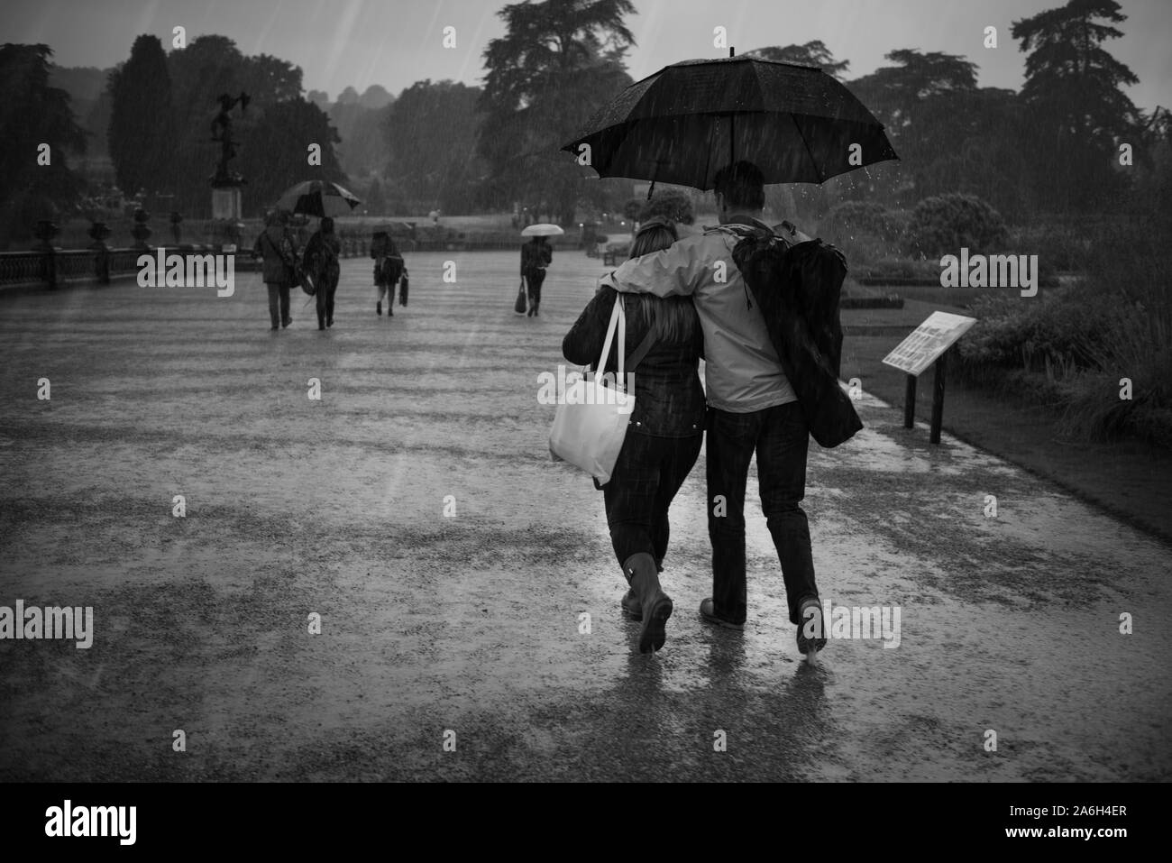 Persone coperchio sotto ombrellone presso un outdoor music festival, piove, umido e freddo ma ancora godendo il divertimento, Trentham Gardens, Foto Stock