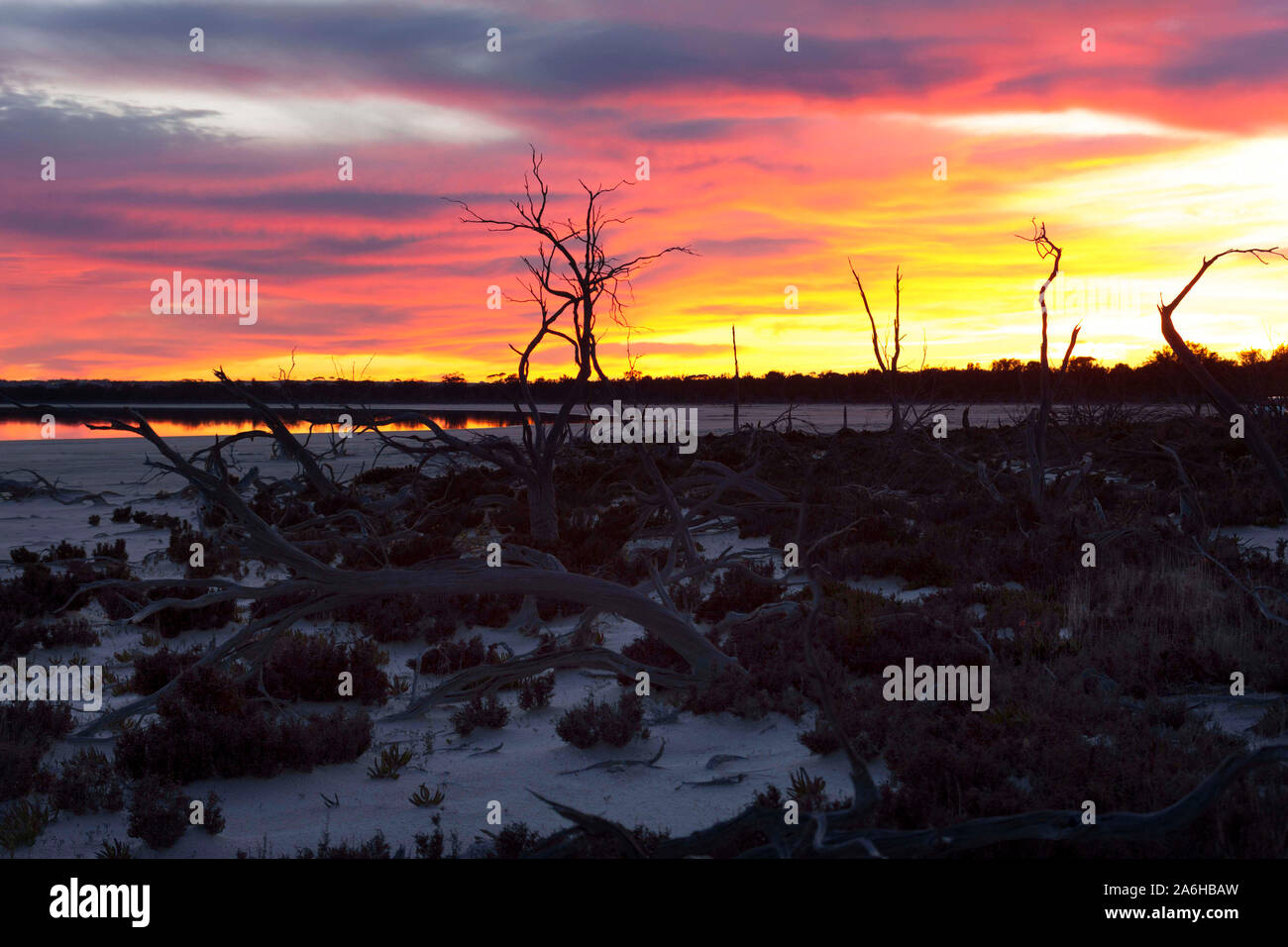 Il lago di Ninan Salt Lake, Victoria Plains Western Australia Foto Stock