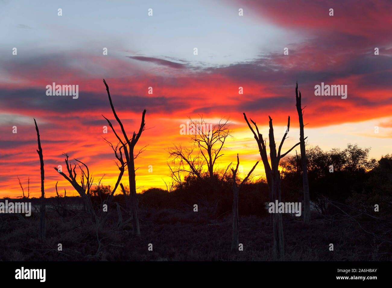 Il lago di Ninan Salt Lake, Victoria Plains Western Australia Foto Stock