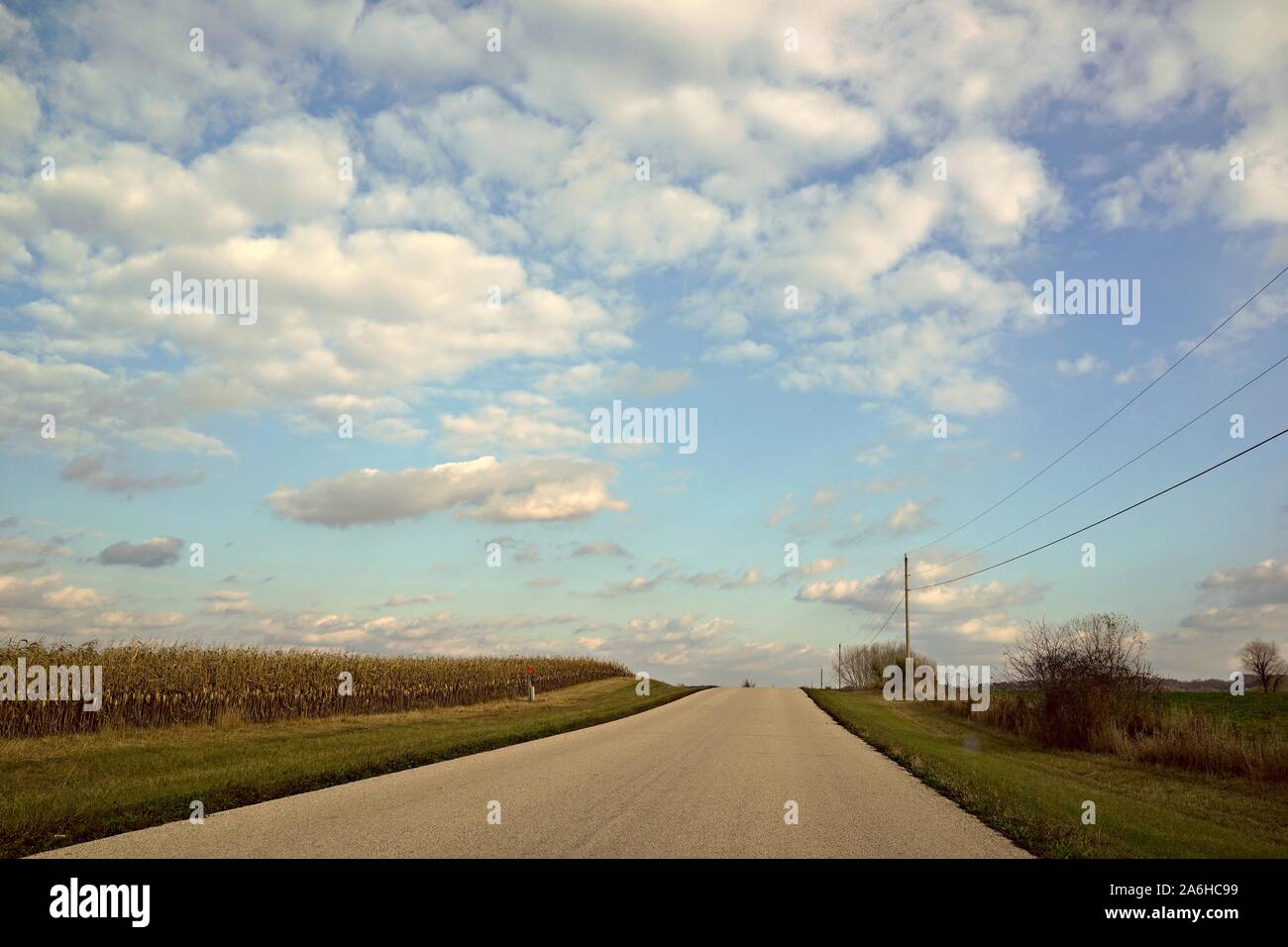 Centrato country road all'infinito a fianco cornfield, cavi telefonici, sotto un nuvoloso cielo blu Foto Stock