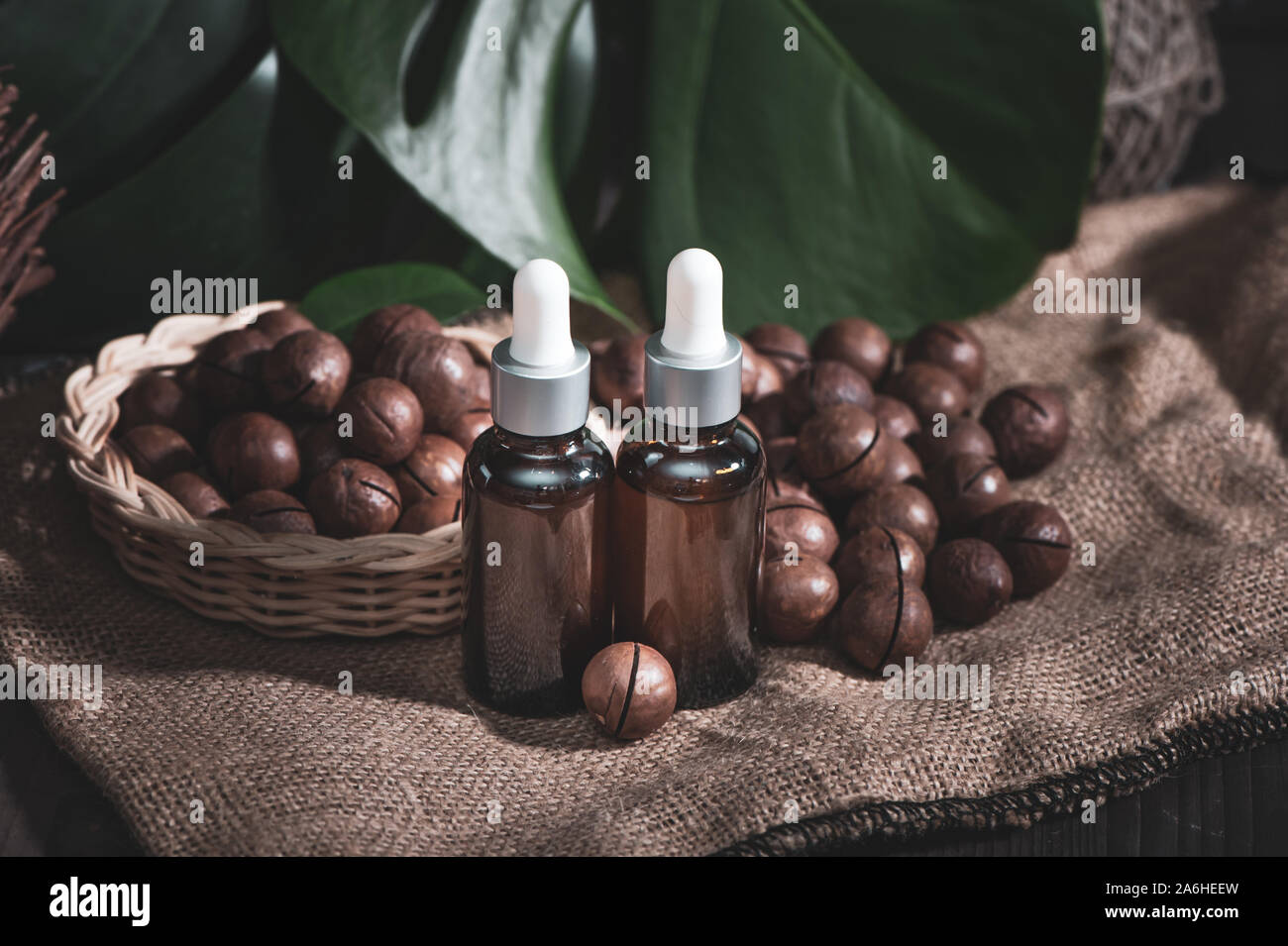 Olio di Macadamia in bottiglie e noci macadamia , vintage stile rustico . Bio, organico , natura concetto cosmetici Foto Stock