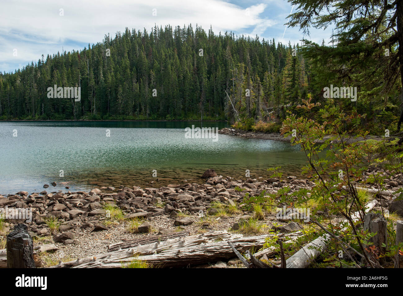 Basso lago, una delle decine di laghi alpini nel lago Olallie Scenic Area, è un breve mezzo miglio di escursione sul pesce di lago Trail #717 Foto Stock
