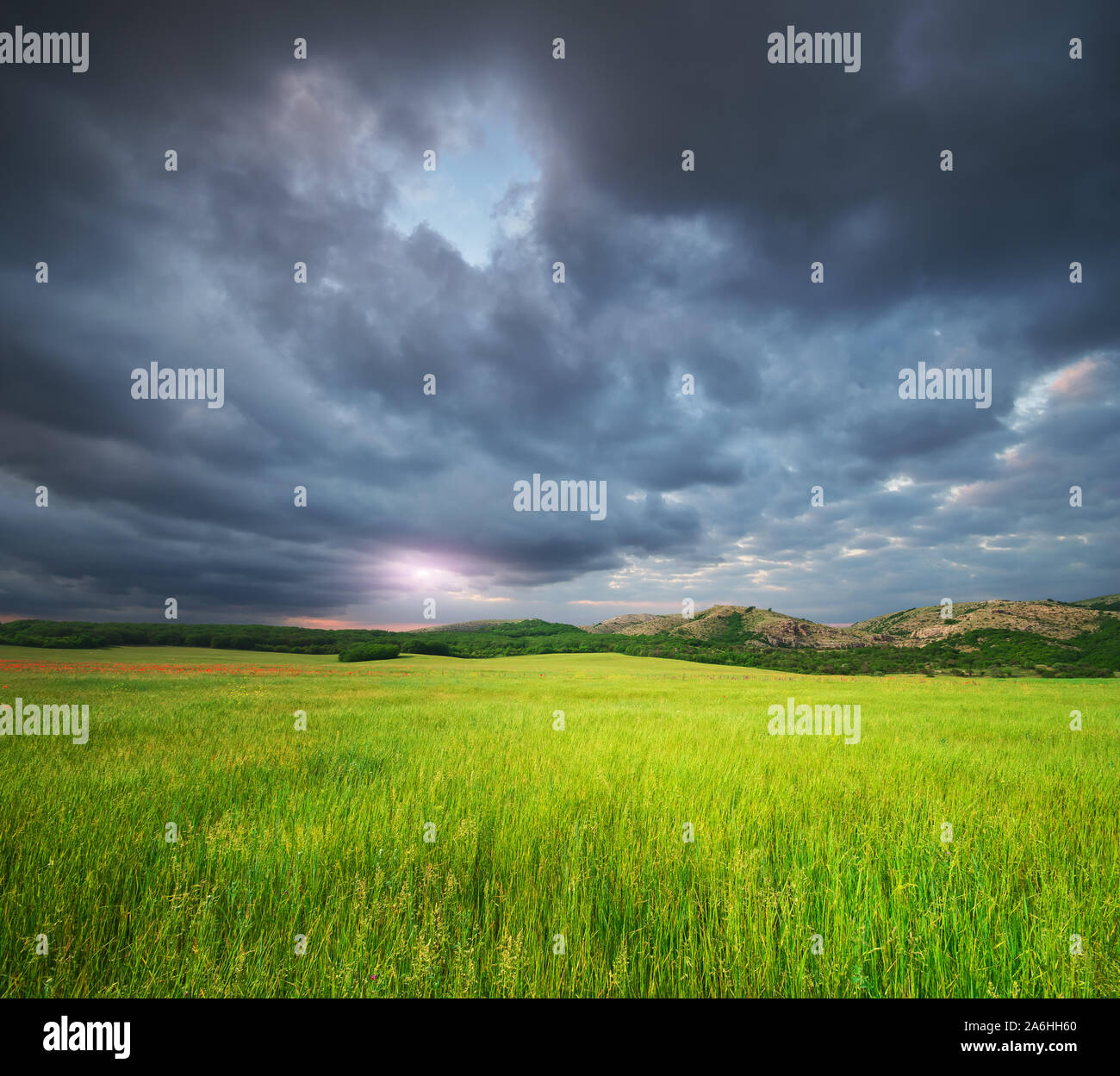 Verde prato in montagna e delle piogge pesanti cloud. Composizione della natura. Foto Stock