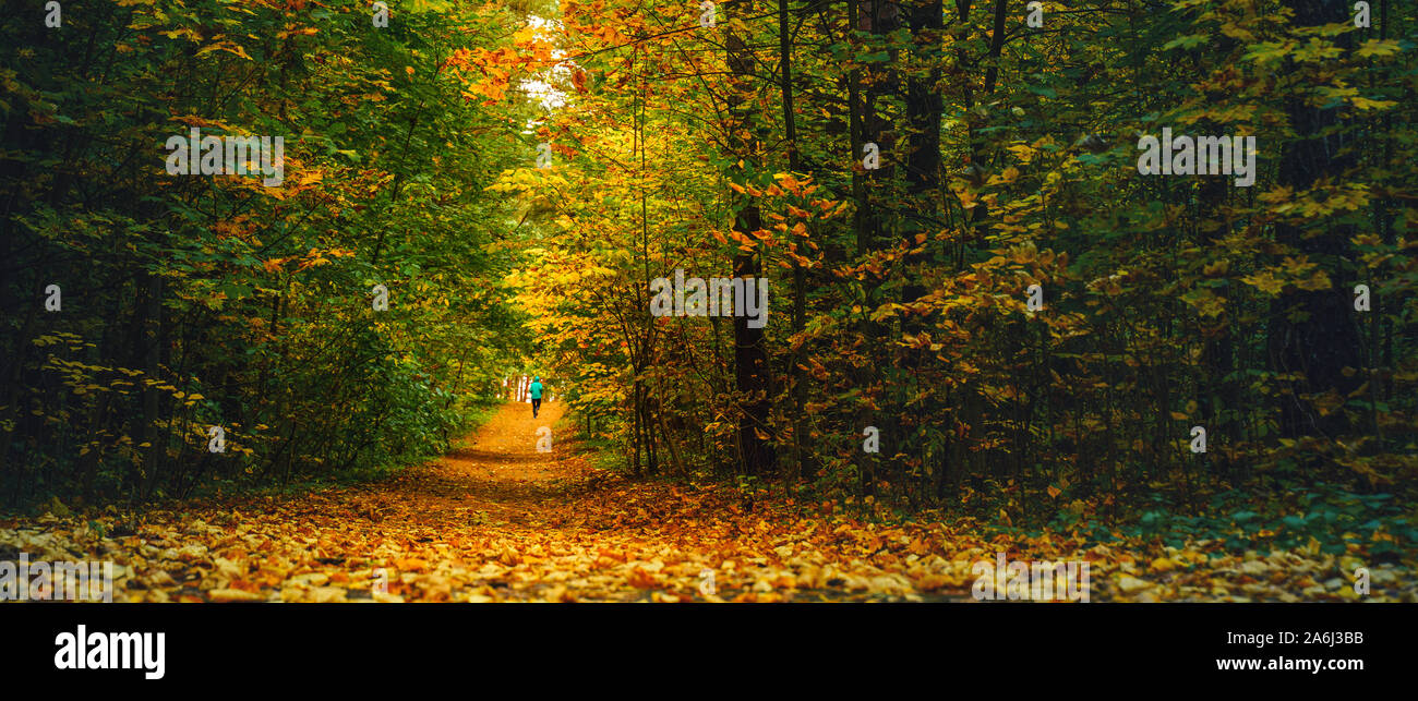 Un atleta donna eseguire nella foresta di autunno. Jogging in una splendida foresta di autunno disseminata di foglie cadute, Foto Stock