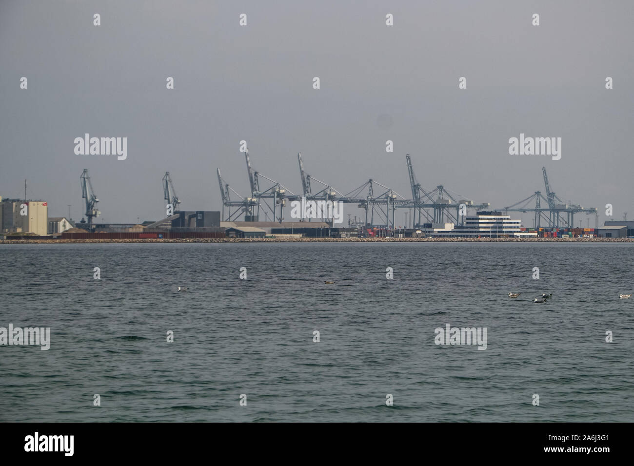 La gente a piedi dal Ponte di infinita (Den Uendelige Bro) - a forma di cerchio molo in legno costruita su un mare di Aarhus Bay su di una spiaggia di Varna/Ballehage Beach, creato dall'architetto Niels Povlsgaard e Johan Gjødes sono visti ad Aarhus in Danimarca il 30 luglio 2019 © Michal Fludra / Alamy Live News Foto Stock