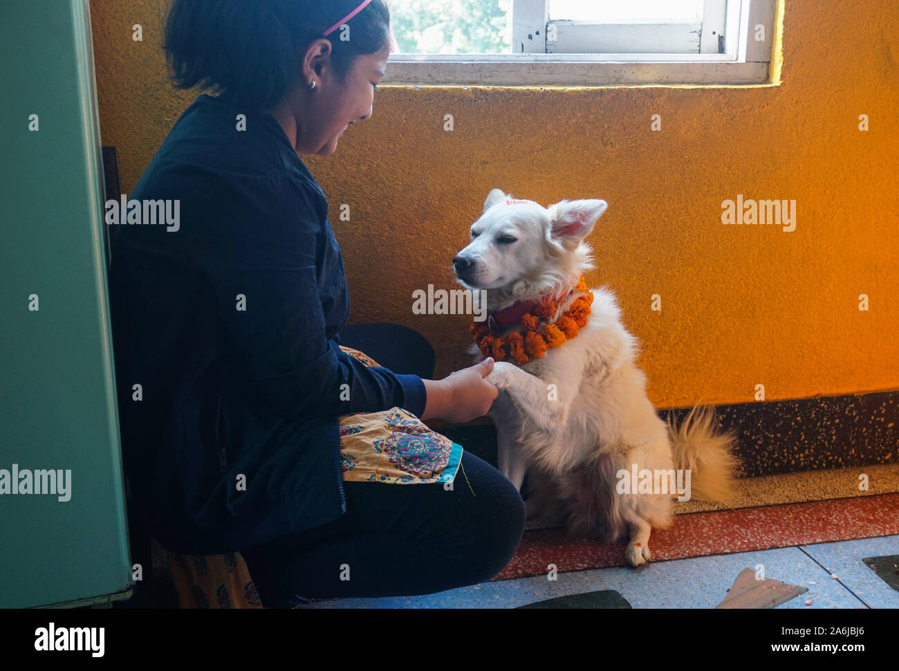 Kathmandu, Nepal. 27 ott 2019. Una bambina gioca con il suo cane durante il festival.Kukur Tihar è o Kukur Puja significa letteralmente il culto di cani. Si tratta di un mini-festival all'interno di una più grande festa indù di Diwali, la festa delle luci. Secondo la tradizione nepalese, uno dei giorni di festa è dedicata esclusivamente alla umani più devoto amico e custode. Nella religione indù, un cane è un animale sacro, destinati ad avere un legame speciale con un essere umano, in modo da accompagnare il nostro cammino verso il cielo. Credito: SOPA Immagini limitata/Alamy Live News Foto Stock