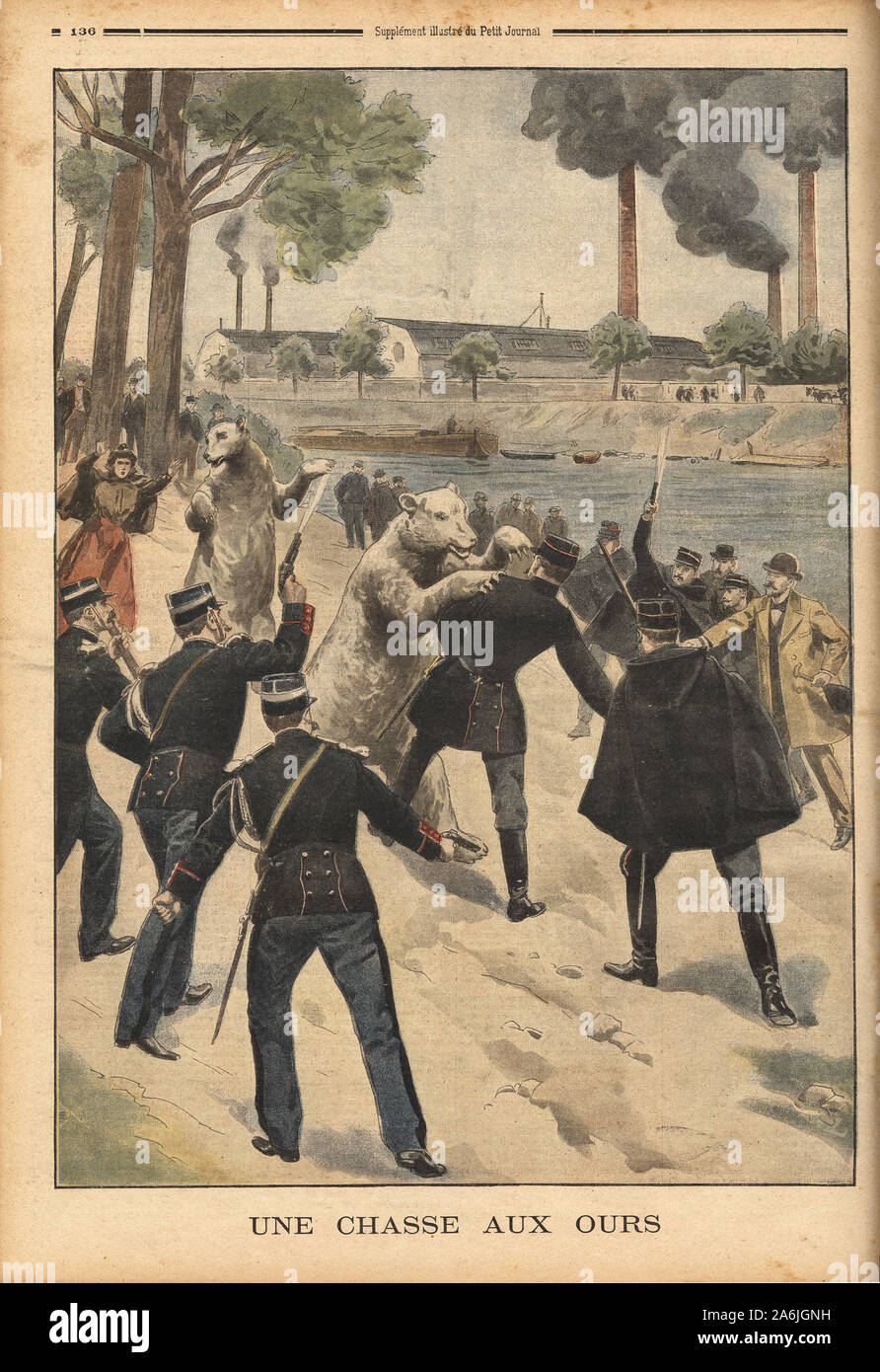 Deux la nostra blancs, echappes de leur gabbia un l'ile Robinson ( Clichy la Garenne), se dirigeaient vers la Seine pour la traverser a la nage, les policiers Foto Stock